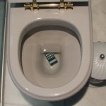 iPhone na privada